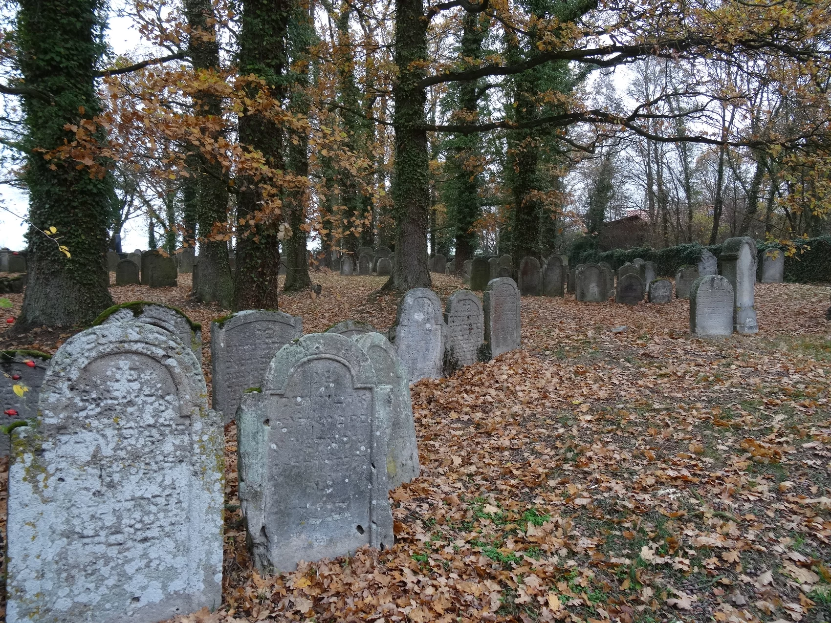 Jüdischer Friedhof