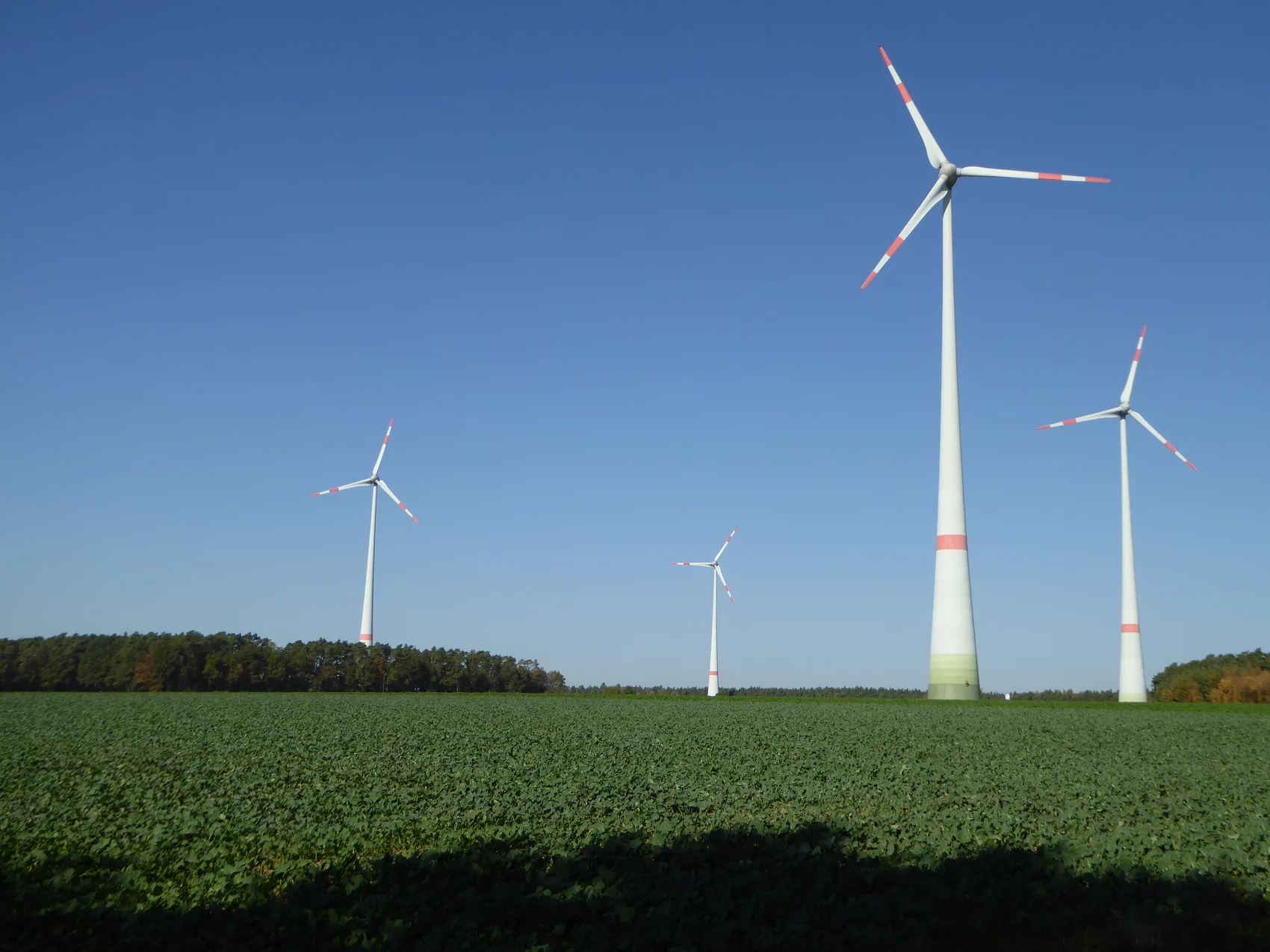 Windenergie